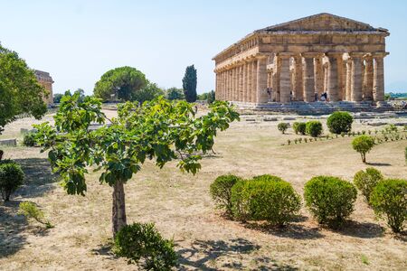 Classical greek temple at ruins of ancient city Paestum, Cilento,  Italyの写真素材