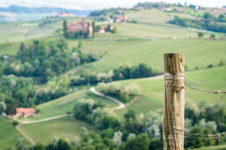 old vineyard pole in the Langhe. Famous territory for Barolo wineの写真素材