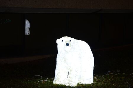 Chicago, USA, 31st December 2016 : To walk through the luminous display at New Yearâs Eve at Lincoln Park Zoo in Chicago.のeditorial素材