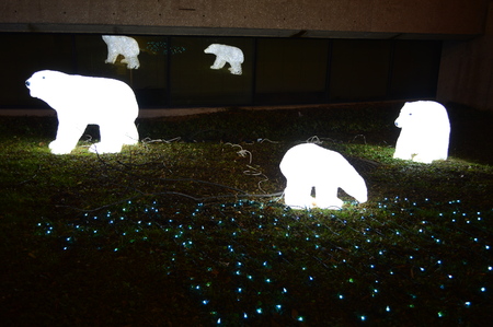 Chicago, USA, 31st December 2016 : To walk through the luminous display at New Yearâs Eve at Lincoln Park Zoo in Chicago.のeditorial素材