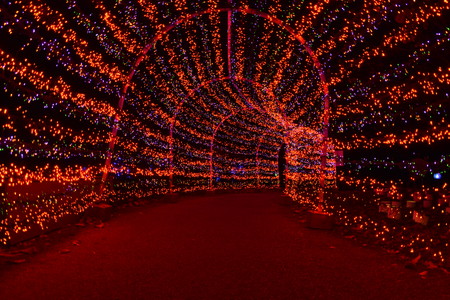 St Louis, Missouri, USA - Nov 22 2017: MoBot's Garden Glowのeditorial素材