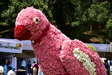 Kodaikanal, Tamilnadu, India - June 2, 2019: Parrot Statue made with flowers at the 58th flower show in Kodaikanalのeditorial素材