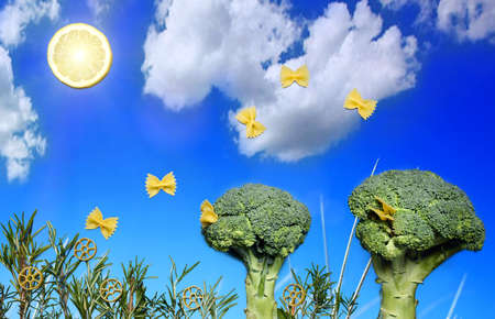 butterfly pasta fly in the lemon sunの写真素材