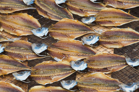 Dried salted fish in the market,Thailand food backgroundの写真素材
