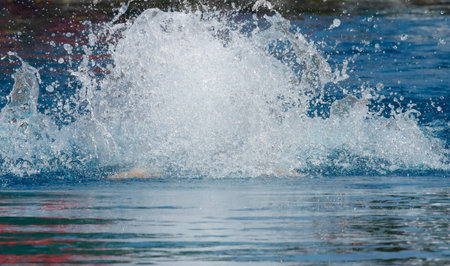 splashes of water in the pool as a background. close upの写真素材