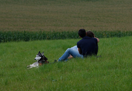 Young couple with siberian husky dog in the field.の写真素材