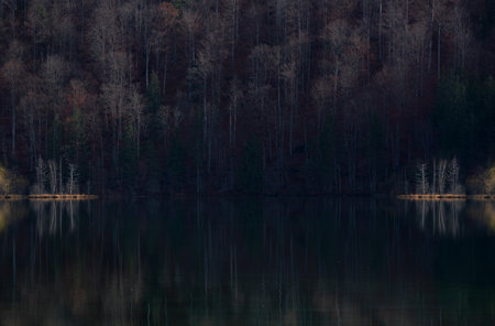 Autumn forest reflected in the calm water of a mountain lake.の写真素材