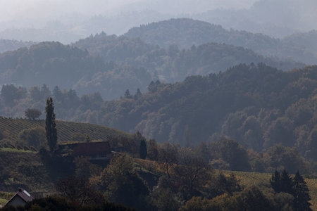 Landscape with vineyards in autumn, Styria, Austria