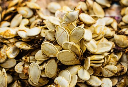 Closeup of dried pumpkin seeds for sowing. Background texture. Concept agriculturally.の写真素材