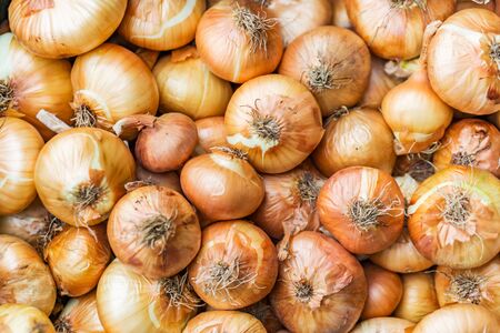 Closeup of the bunch, ripe onion captured the market for fruits and vegetables. Ecologically produced without nitrates. Concept agriculturally and agriculture.の写真素材