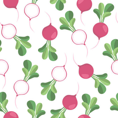 vector seamless vegetable pattern with radishのイラスト素材