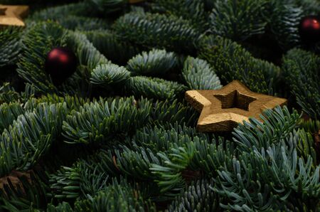 Christmas or New Year background from real green spruce branches and a golden wooden star.の写真素材