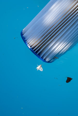 Replacement Pool Filter Cartridge against the Pool Blue Water, in which Garbage and Insects Float. Filter Reuse. Sun shadow. Copy space.の写真素材