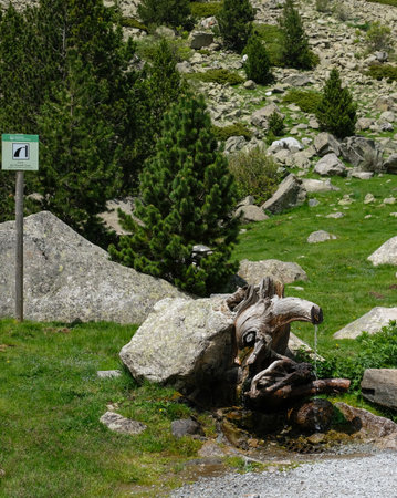 Water Spring Flowing from the Tree Trunk in Aiguèstortes i Estany de Sant Maurici National Park,...