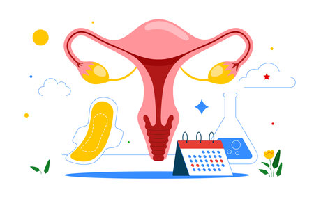Tracking menstrual cycle and female reproductive system. menstruation calendar. female menstrual cycle. vector illustration.のイラスト素材