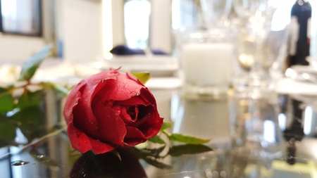 Red rose flower on table in living room, home decoration, interior designの写真素材
