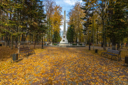 Autumn Park at noonの写真素材