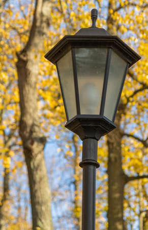Lantern on the background of autumn leavesの写真素材