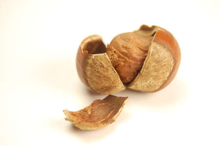 haselnutの写真素材