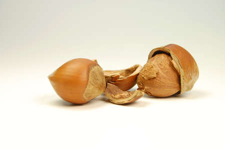 hazelnutsの写真素材