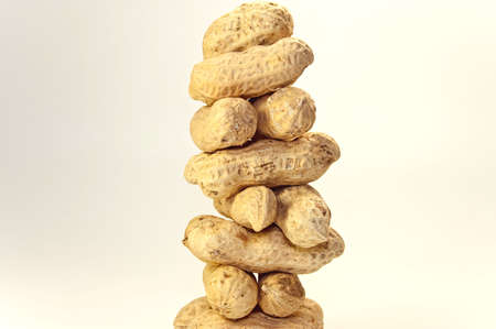 many nuts isolated on white