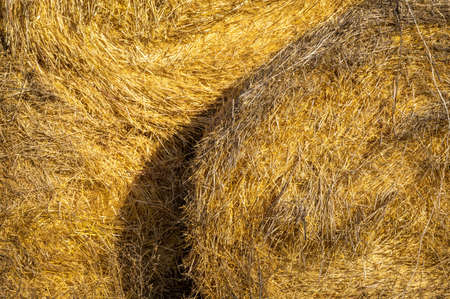 Texture of a round haystack on a rural farmの写真素材