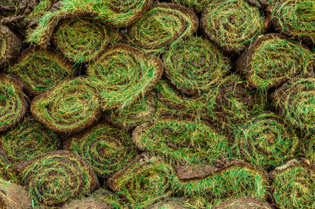 Stack of rolled turf for landscaping in city, parks and soccer fieldsの写真素材