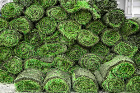 Stack of rolled turf for landscaping in city, parks and soccer fieldsの写真素材