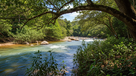 A beautiful river flows through a vibrant green forest, creating a peaceful and serene natural scene. Perfect for nature and travel themes.の写真素材