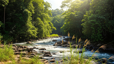 A picturesque river flows through a vibrant green forest, creating a peaceful and scenic landscape. The water is clear and the vegetation is lush.の写真素材