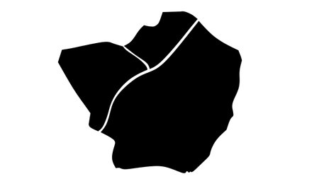 silhouette map of Larkana city in Pakistanのイラスト素材