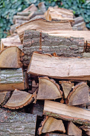 Firewood in the yard