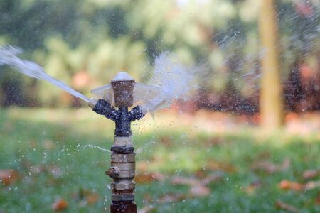 Watering gardenの写真素材