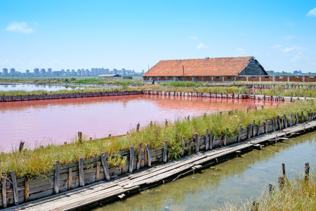 Red salty lake 3の写真素材