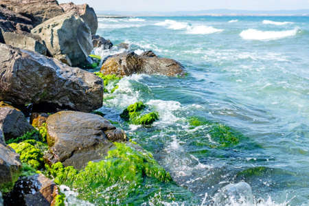 Green stones and sea 1の写真素材