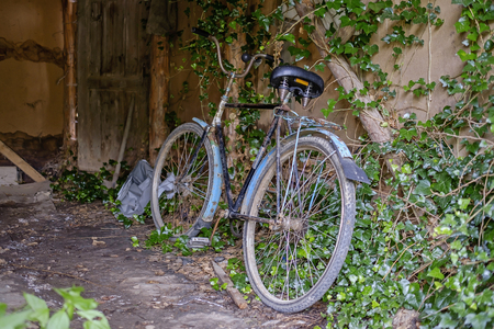 Old bicycle in the old houseの写真素材