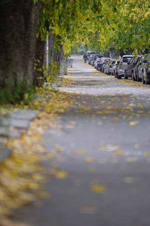Autumn streets in old townの写真素材