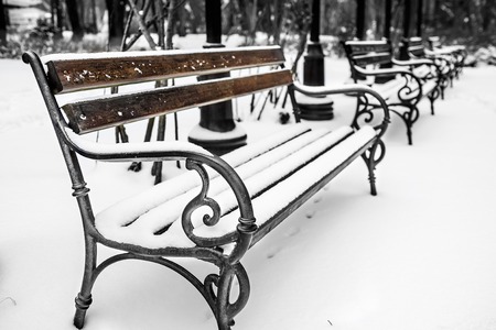 Benches in the park covered with snow