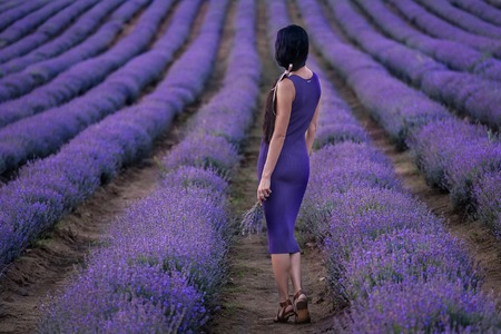 Female portrait from back in beautiful lavender field at sunsetの写真素材