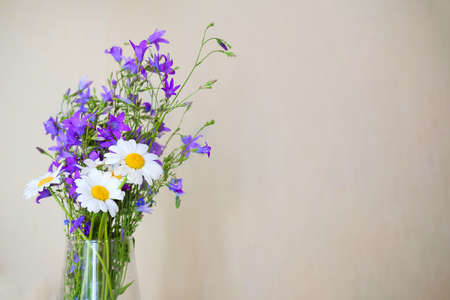 a bouquet of wildflowers in a vase. Chamomile and bells in a bouquet, at home.の写真素材