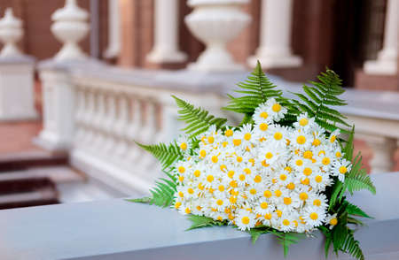 A large bouquet of daisies on a background of Europe. European city. Wedding summer bouquetの写真素材