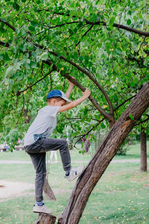 boy climbs a tree. children in the park. kids games on the streetの写真素材