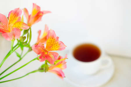 cup of tea with flowers. alstroemeria and a cup of tea. morning breakfast. beautiful still life. flatlay in light colorsの写真素材