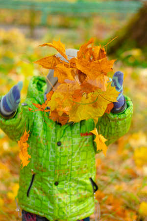 autumn leaves in the park. boy throws autumn leaves. The child's face is hidden by leaves. Bright autumn photographyの写真素材