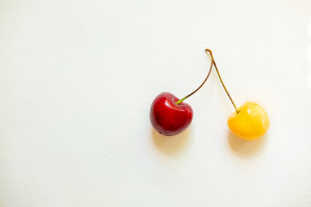 red and yellow cherries.berry pair of cherries. different but together. Love is shown by the cherry.の写真素材
