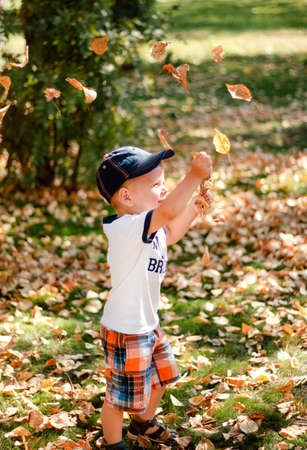 little boy in shorts throws the leaves. Warm autumn. The child is having fun in nature. cheerful kid on a walkの写真素材