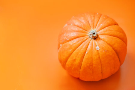 Decorative pumpkin isolated on white background. Top view.の写真素材