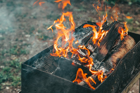 A bright flame from the fire. flames over barbecue. sticks of wood in the fireの写真素材