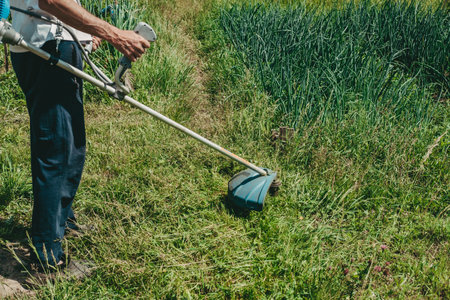 man mows the lawn grass with a lawn mower. petrol lawn mower, grass trimmer. The man works in the...