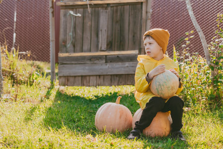 a boy in a yellow raincoat sits on large pumpkins on the street. Preparing for Halloween. Fair for the harvest of vegetables. The child helps in the villageの写真素材
